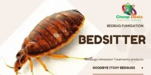 Bedsitter Bedbug Fumigation Services, Bedsitter Bedbug Fumigation, Bedsitter Bedbug control for bedsitter, Bedsitter Bedbug fumigation services in Nairobi Kenya, Bedsitter Bedbug fumigation services in Nairobi, Bedsitter bedbug fumigation Nairobi, bedbug fumigation services in Nairobi, Bedsitter Bedbug fumigation services in Nairobi Kenya, Bedbugs control services in Kenya, Bed bug fumigation, Bed bugs Kenya, Best Pest Control for bed bugs, How to get rid of bed bugs in Kenya, bedbug fumigation, Bedbug control services Nairobi, Bedbug extermination Nairobi Kenya, Fumigation services for bedsitters, Affordable bedbug fumigation Nairobi, Best bedbug fumigation services Nairobi, Bedbug pest control Nairobi, Professional bedbug fumigation Nairobi, Fumigation companies in Nairobi,