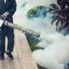 Fumigation Pest Control Services in Nairobi Kenya