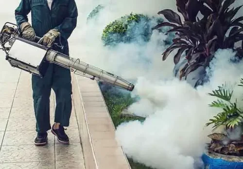 Fumigation Pest Control Services in Nairobi Kenya