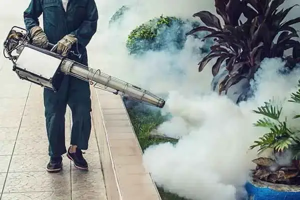 Fumigation Pest Control Services in Nairobi Kenya