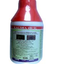 Kausha 480 SL Herbicide, kausha 480 sl, kausha 480 sl herbicide, kausha herbicide, kausha 480 sl, how kausha herbicide works, how do you use kausha herbicide, how long does kausha herbicide take to work, kausha 480sl, kausha 480 sl weed herbicide, Kausha herbicide, kausha herbicide active ingredient