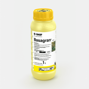 Basagran 480 SL herbicide, Basagran 480 SL label, Basagran 480 SL MSDS, Basagran 480 SL dosage, Basagran 480 SL application, Basagran 480 SL mode of action, Basagran 480 SL weed control, Basagran 480 SL safety precautions, Basagran 480 SL price, Basagran 480 SL availability, Basagran 480 SL, Basagran 480, Basagran 480 SL herbicide, beans herbicide, Basagran 480 reviews, how to use Basagran 480, pricing for Basagran 480, where to buy Basagran 480, Basagran 480 ingredients, Basagran 480 effectiveness, crop protection herbicide, weed control for beans, Basagran product information, uses of Basagran 480 SL, application method for Basagran herbicide, safety precautions for using Basagran, selective herbicides for beans and maize, herbicides for legumes and corn, weed control solutions for beans and maize, selective weed killer for corn and beans