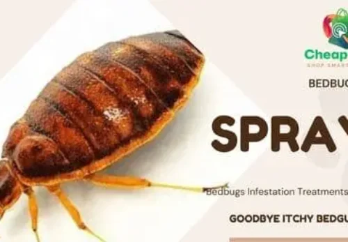 Bedbug Killer Spray Chemicals in Kenya