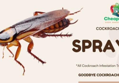 Cockroach Killer Spray Chemicals in Kenya