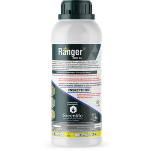 ranger 480 EC Insecticide, Ranger 480 EC, Ranger 480 EC insecticide, Ranger insecticide, Ranger 480 EC, Ranger 480 EC insecticide, Ranger insecticide, Best Price of Ranger 480 EC, Ranger insecticide price in Kenya, Buy Ranger 480EC in Kenya, Ranger for Thrips, aphids insecticide, whiteflies insecticide, Ranger insecticide in Kenya, ranger insecticide for fleas, Ranger bed bug spray review, effective bed bug treatment, Best Price of Ranger 480 EC, Ranger insecticide price in Kenya, Buy Ranger 480EC in Kenya, Ranger for Thrips, aphids insecticide, whiteflies insecticide, Best Price of Ranger 480 ec, Ranger insecticide in Kenya, Range Pesticide Kenya, where to buy ranger insecticide in Kenya