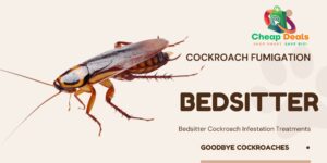 bedsitter cockroach fumigation, bedsitter cockroach fumigation services, bedsitter cockroach control, bedsitter cockroach fumigation, cockroach control for bedsitter, bedsitter cockroach fumigation services in nairobi kenya, bedsitter cockroach fumigation services in nairobi, bedsitter cockroach fumigation nairobi, cockroach fumigation services in nairobi, cockroachs control services in kenya, bedsitter fumigation, bedsitters kenya, best pest control for bedsitters, how to get rid of bedsitters in kenya, cockroach control for bedsitter, cockroach control services nairobi,